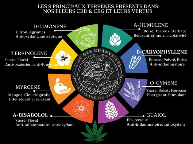 © 2025 L’OR DES CHANVRIERS,(1)